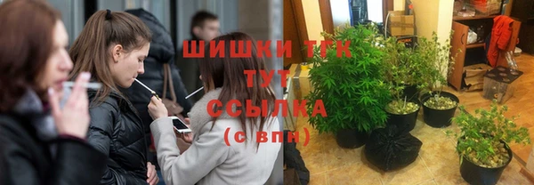 ПСИЛОЦИБИНОВЫЕ ГРИБЫ Алексеевка