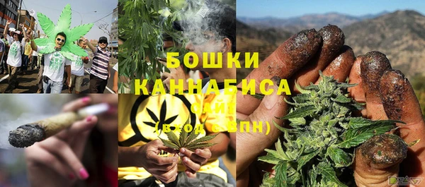 ПСИЛОЦИБИНОВЫЕ ГРИБЫ Алексеевка