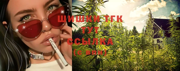 ПСИЛОЦИБИНОВЫЕ ГРИБЫ Алексеевка