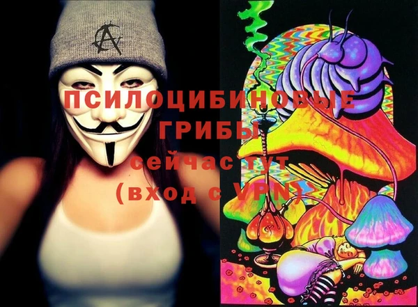 Альфа ПВП Алзамай