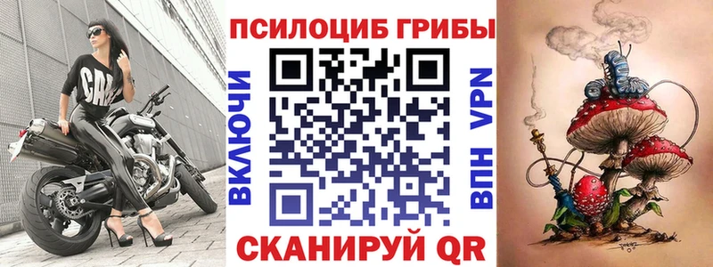 наркошоп Кулебаки Галлюциногенные грибы Cubensis